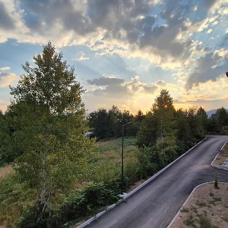 Tarcin Luxury Cicke